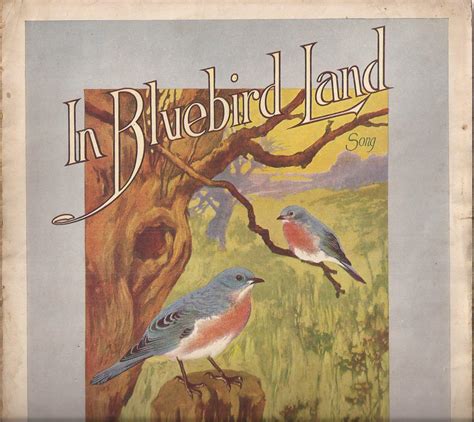 Blubird Land & Planning Ltd
